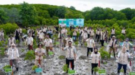 Mangrove Festival 2025: Indonesia Perkuat Konsolidasi Nasional Rehabilitasi Ekosistem Mangrove