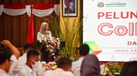 Kemenhut Luncurkan Coll-Tapak, Bersama Siapkan Sektor Kehutanan Cegah Bencana Hidrometeorologi